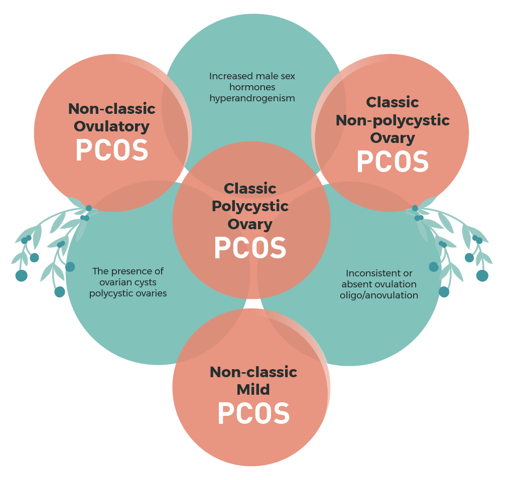 Which PCOS Type are You?